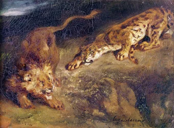 Tiger och lejon